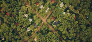 birds eye view of green land with trees and houses